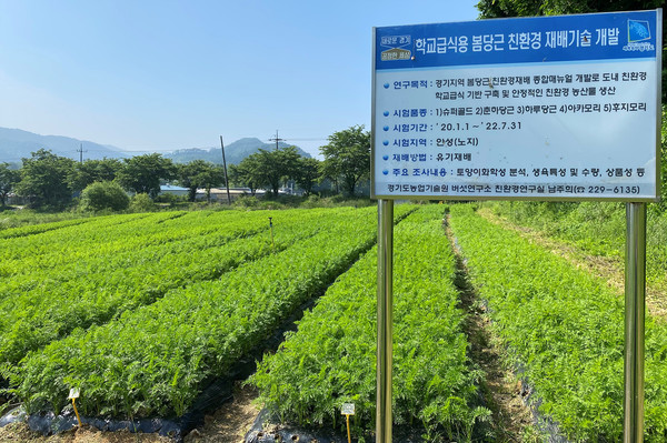 사진)봄당근 친환경 재배기술 개발 연구 시험포장ⓒ경기타임스