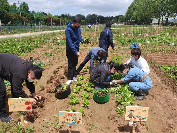 사진) 탑동 시민농장 교육텃밭에서 ‘치유농업 프로그램’을 진행하는 모습.ⓒ경기타임스
