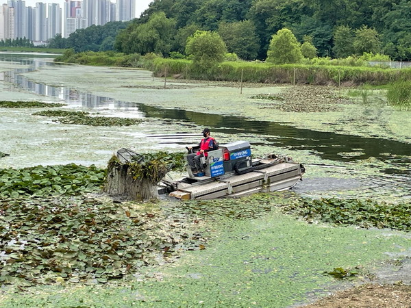 사진) 수초제거선을 활용해 호수 내 부유물을 제거하는 모습 ⓒ경기타임스