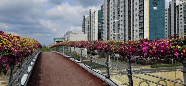 권선구는 교량에 꽃길을 조성했다.ⓒ경기타임스